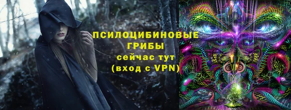 индика Абдулино