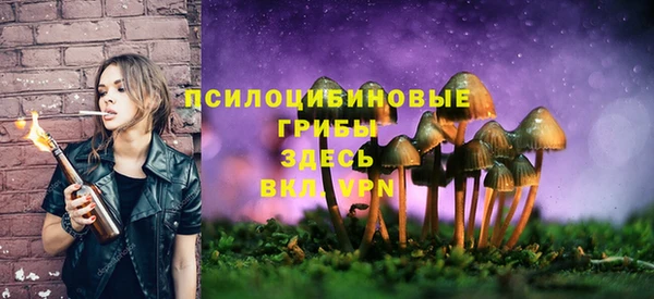 шишки Рославль