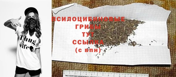 индика Абдулино