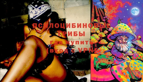 шишки Рославль