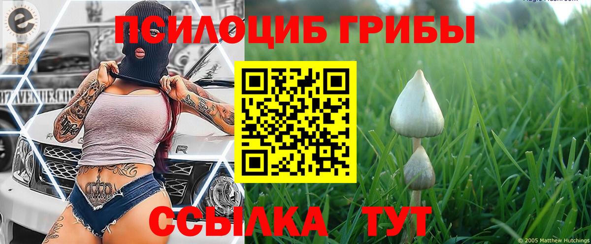 даркнет сайт  Вход с VPN  Псилоцибиновые грибы мицелий  Кизляр  Галлюциногенные грибы мухоморы 