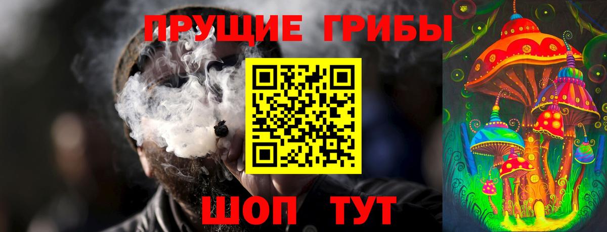 Псилоцибиновые грибы Magic Shrooms Кизляр